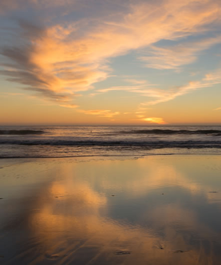 Steve Dallons Northern California Pool Designer